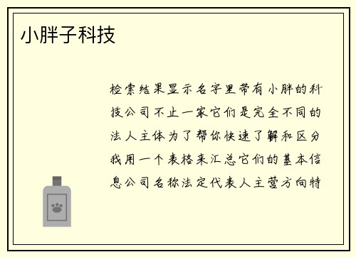 小胖子科技